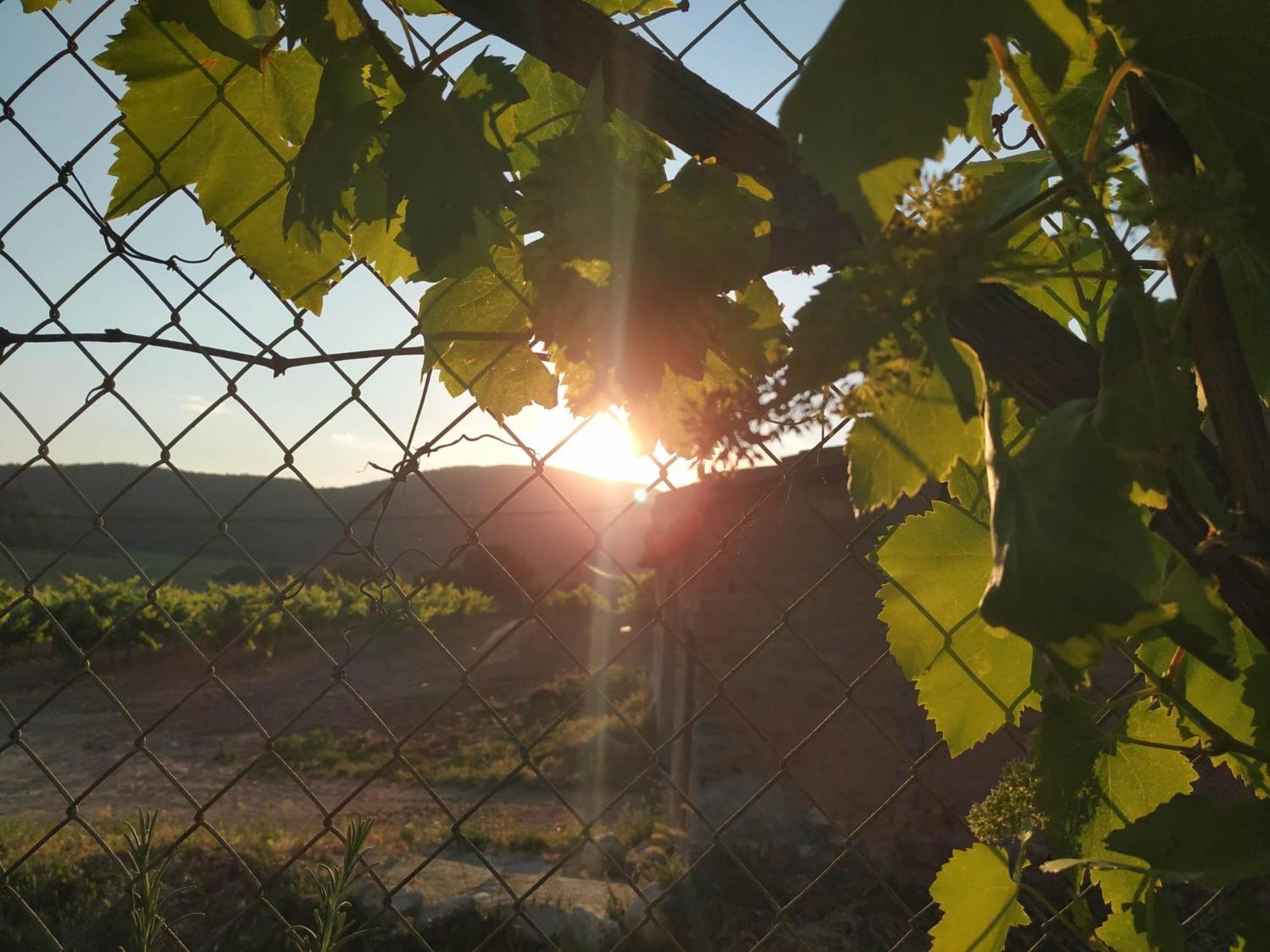 Pensjonat La Casa Vella El Bedorc Piera Zewnętrze zdjęcie